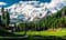 How to Go to Fairy Meadows Nanaga Parbat Pakistan